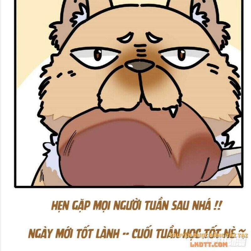 Tự Cẩm Chapter 171 - Trang 2