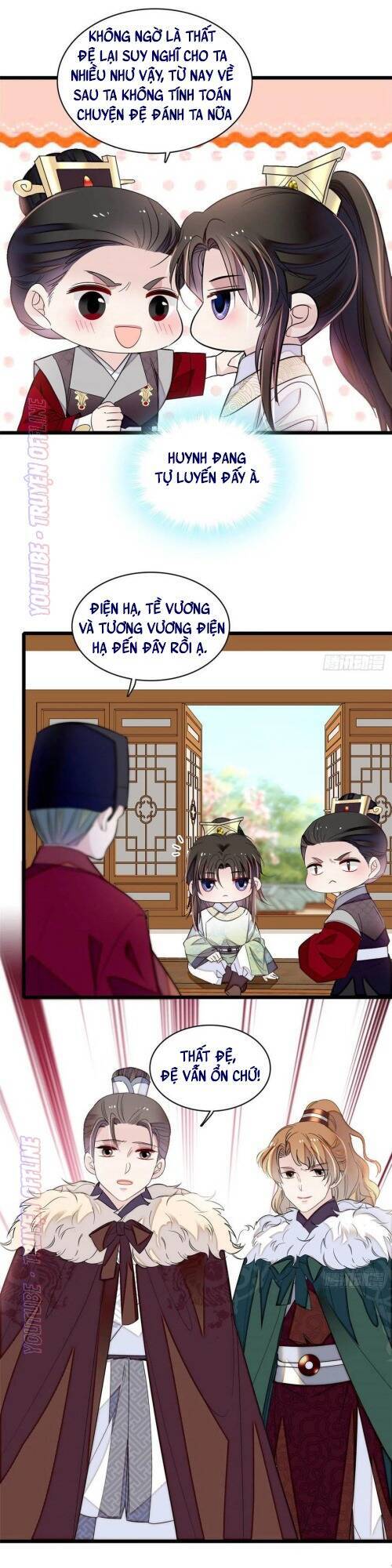 Tự Cẩm Chapter 174 - Trang 2
