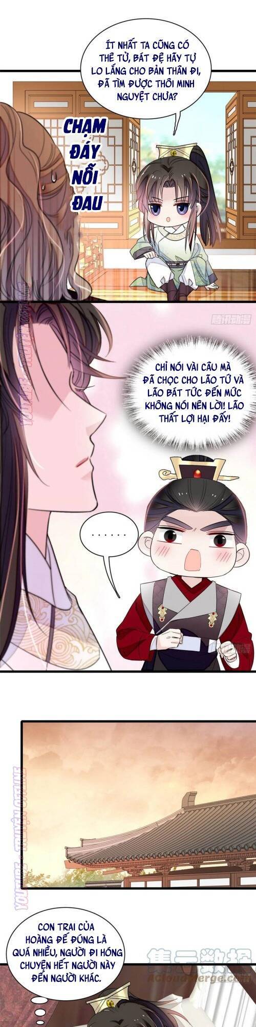 Tự Cẩm Chapter 174 - Trang 2