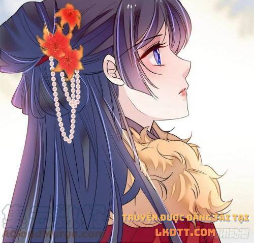 Tự Cẩm Chapter 174 - Trang 2