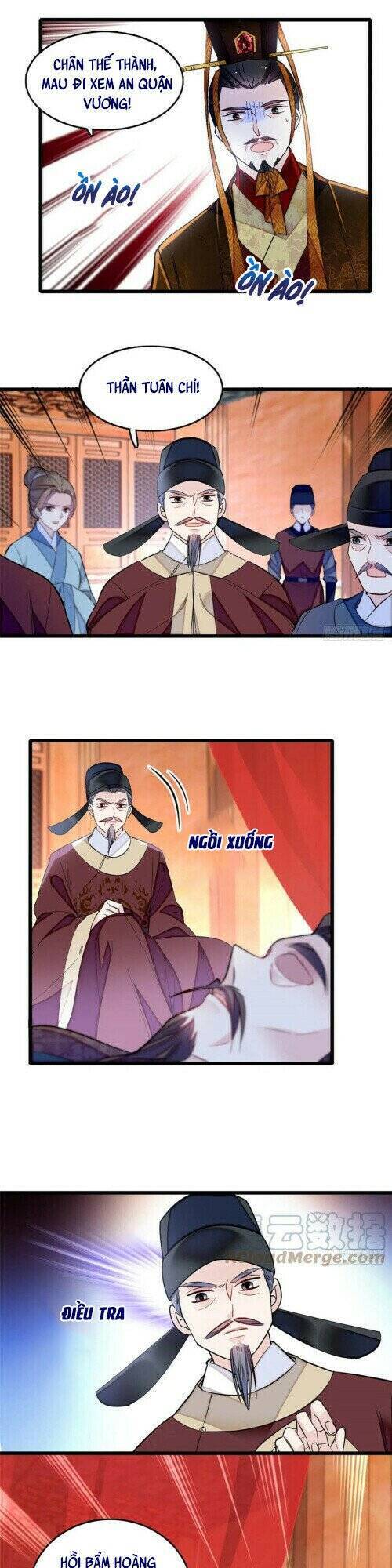 Tự Cẩm Chapter 176 - Trang 2