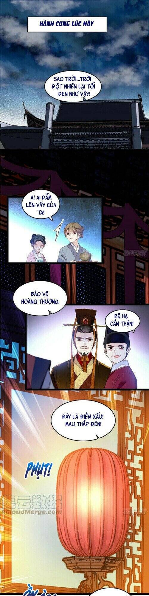 Tự Cẩm Chapter 176 - Trang 2