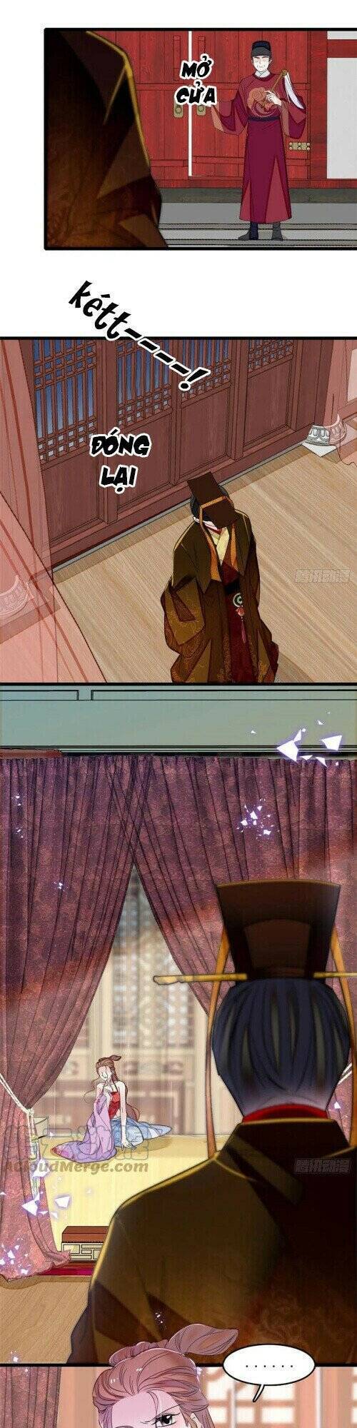 Tự Cẩm Chapter 178 - Trang 2