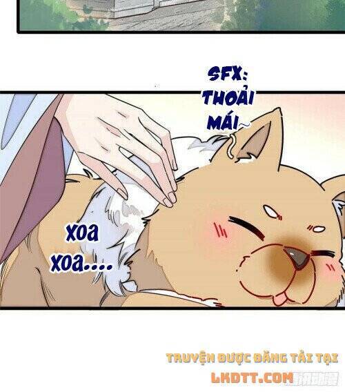 Tự Cẩm Chapter 178 - Trang 2