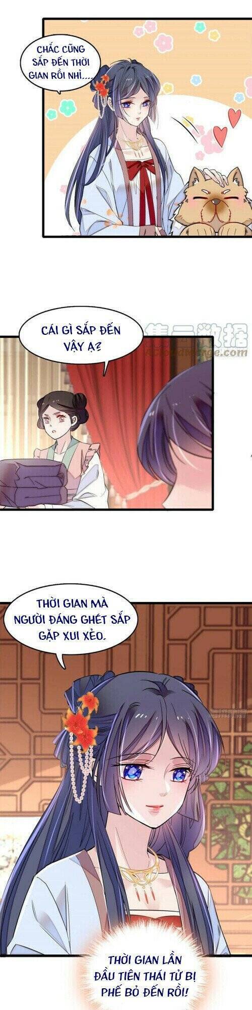 Tự Cẩm Chapter 178 - Trang 2