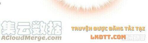 Tự Cẩm Chapter 178 - Trang 2