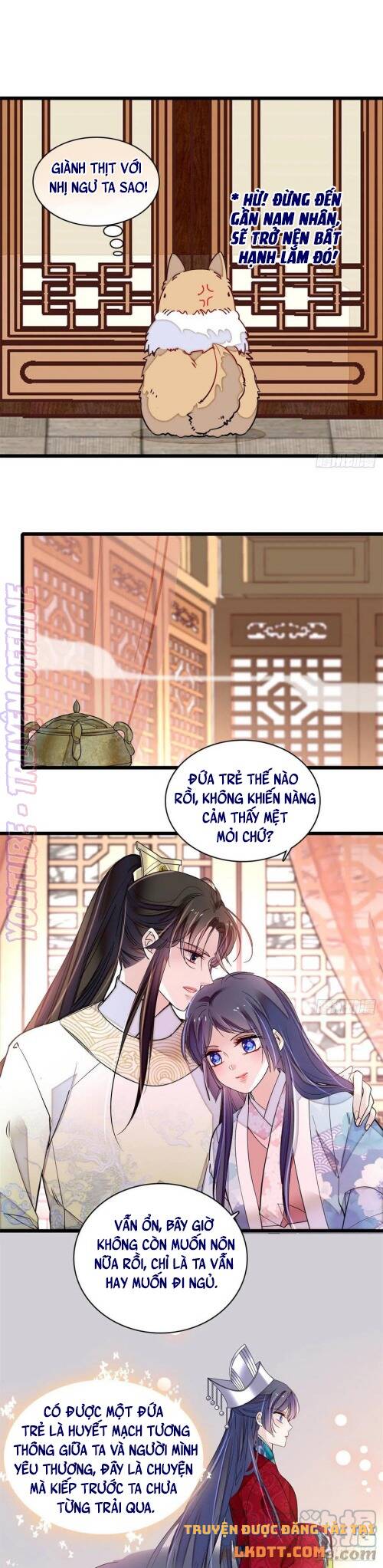 Tự Cẩm Chapter 181 - Trang 2