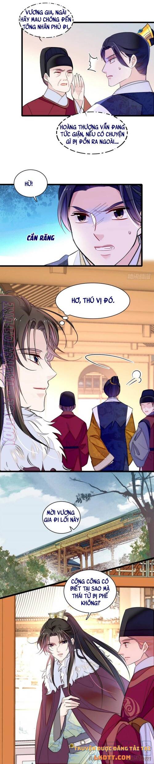 Tự Cẩm Chapter 181 - Trang 2