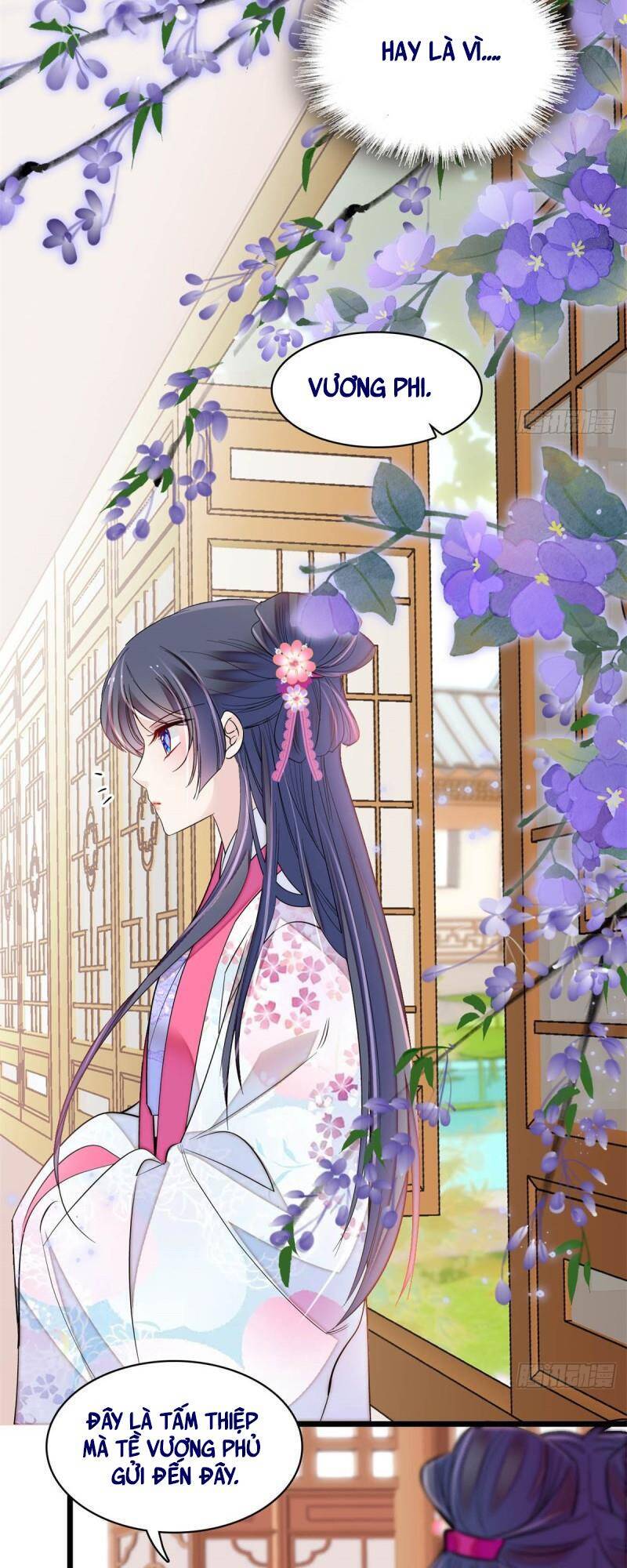 Tự Cẩm Chapter 182 - Trang 2