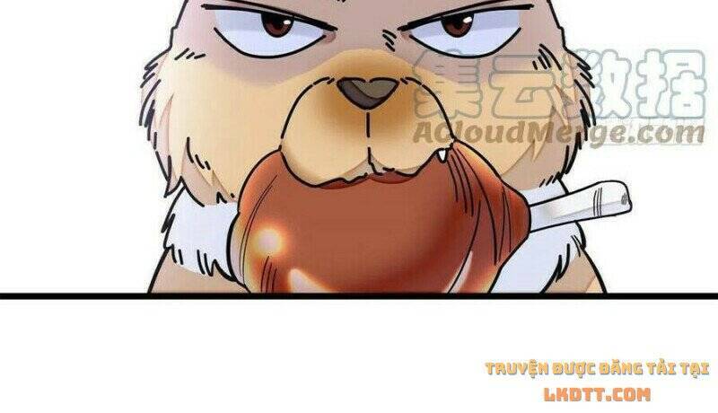 Tự Cẩm Chapter 189 - Trang 2