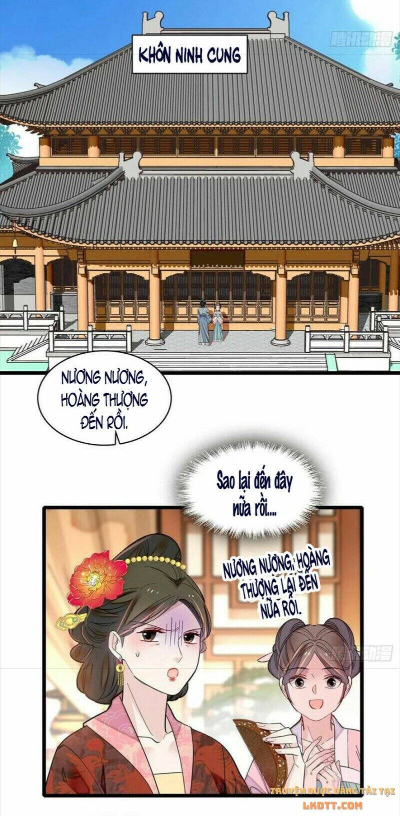 Tự Cẩm Chapter 193 - Trang 2