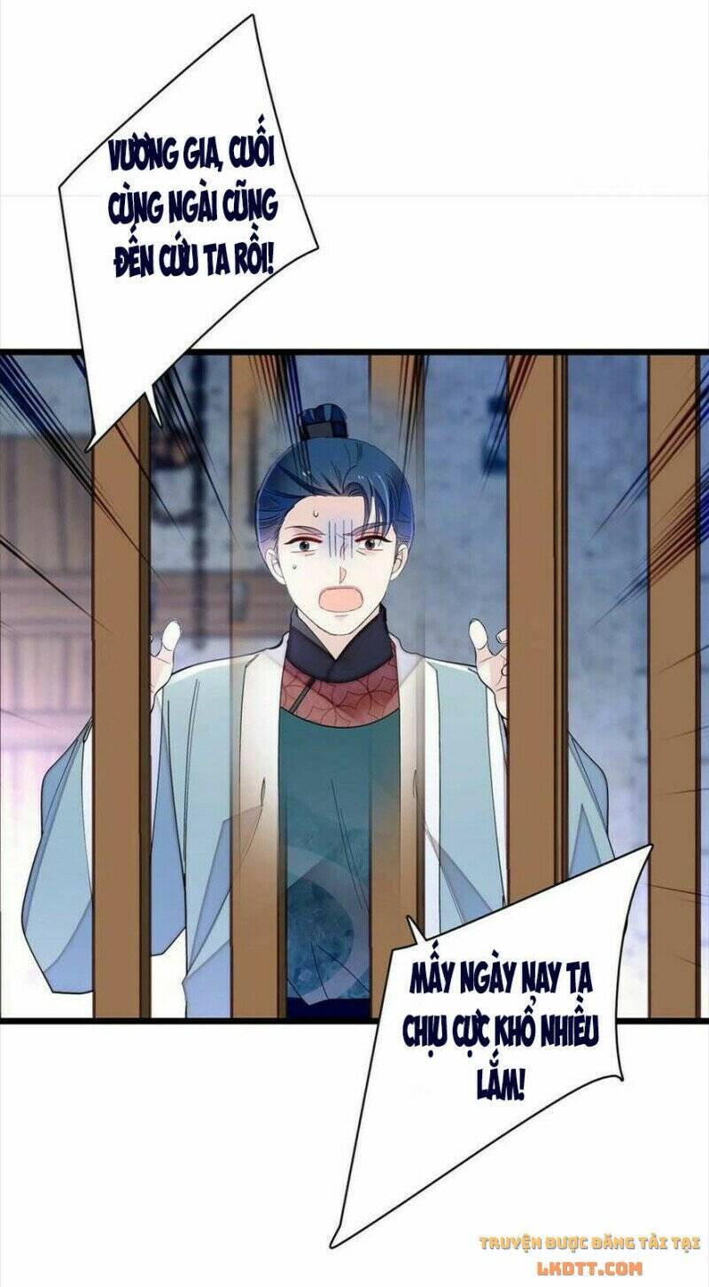 Tự Cẩm Chapter 193 - Trang 2