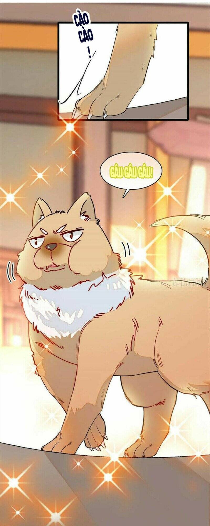 Tự Cẩm Chapter 193 - Trang 2