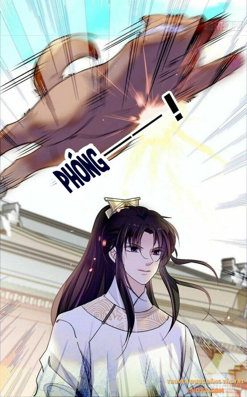 Tự Cẩm Chapter 194 - Trang 2