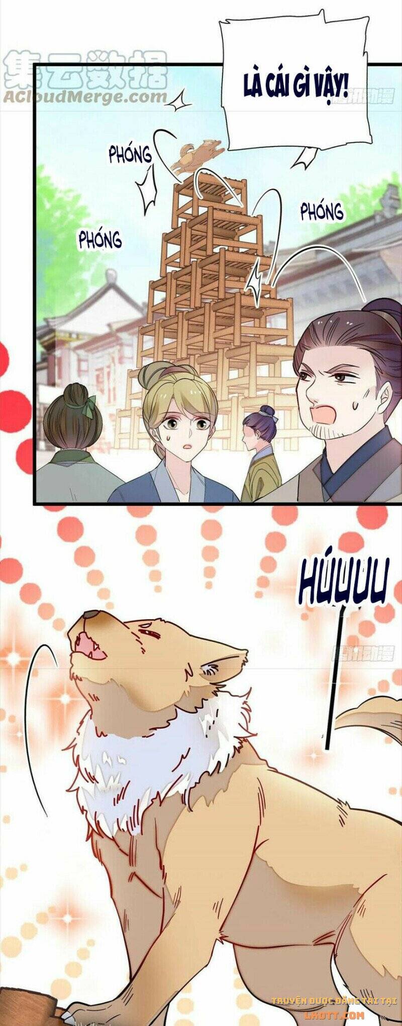 Tự Cẩm Chapter 194 - Trang 2