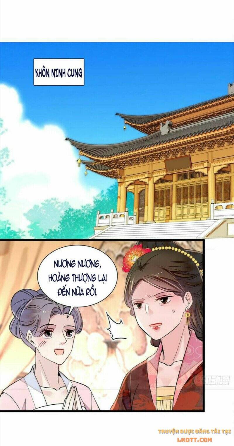 Tự Cẩm Chapter 194 - Trang 2