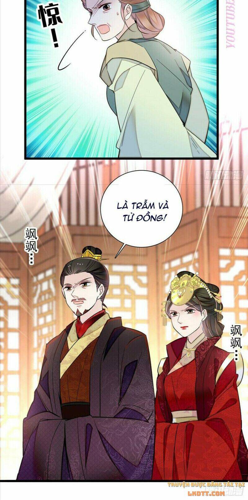 Tự Cẩm Chapter 196 - Trang 2