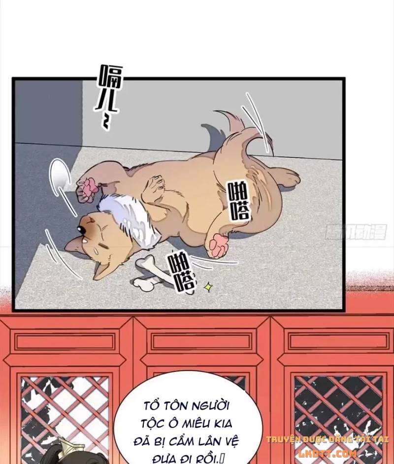 Tự Cẩm Chapter 197 - Trang 2