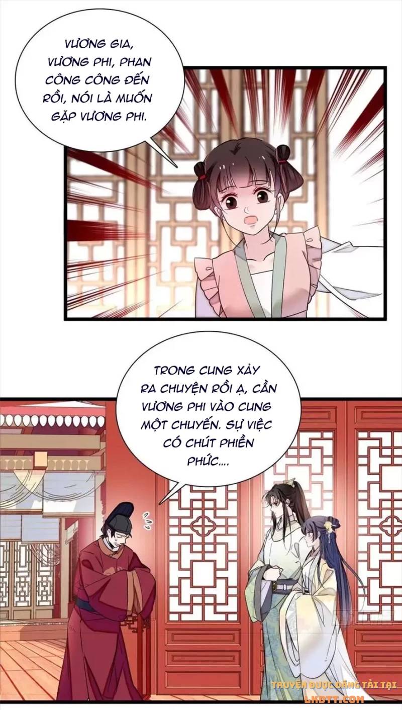 Tự Cẩm Chapter 197 - Trang 2