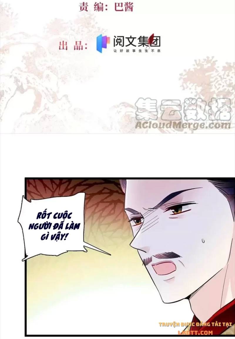 Tự Cẩm Chapter 197 - Trang 2