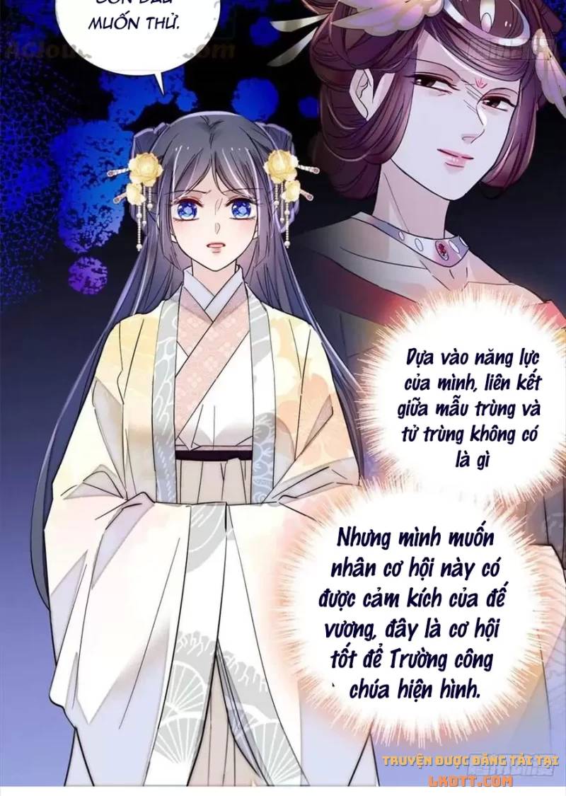 Tự Cẩm Chapter 197 - Trang 2