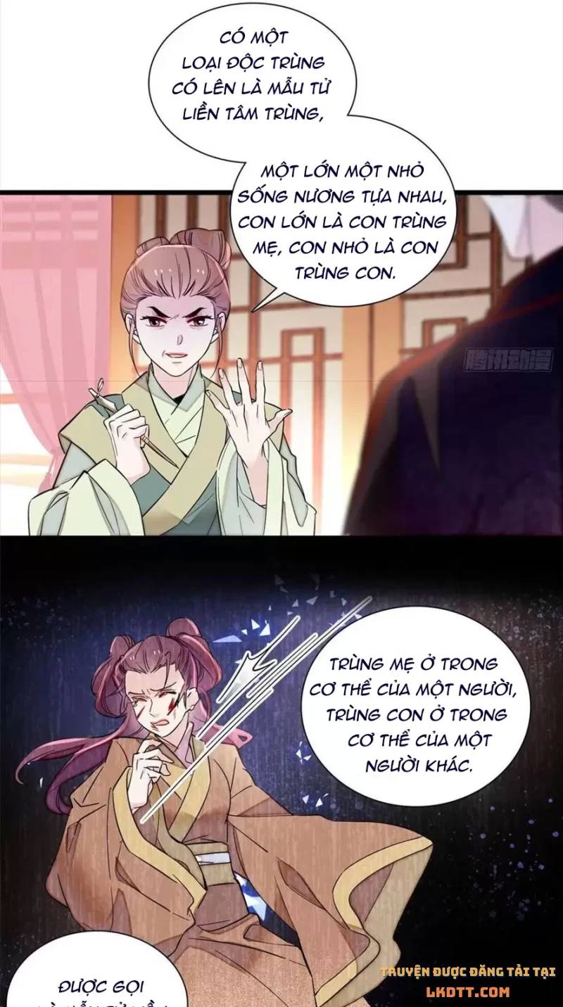 Tự Cẩm Chapter 197 - Trang 2