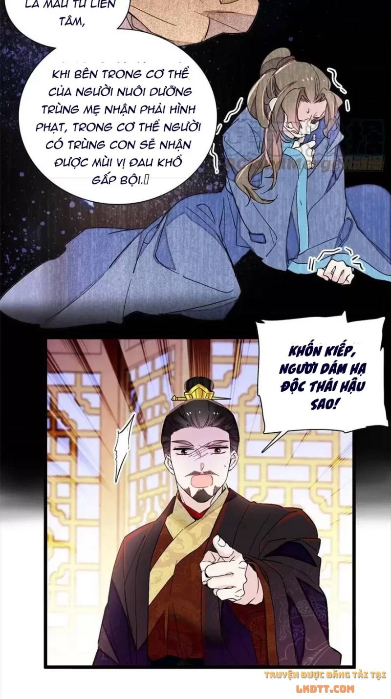 Tự Cẩm Chapter 197 - Trang 2