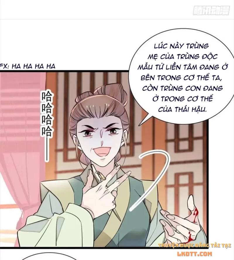 Tự Cẩm Chapter 197 - Trang 2