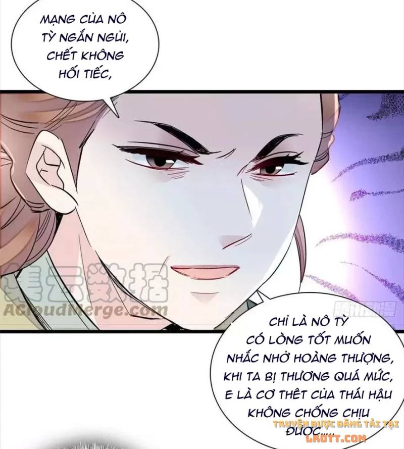 Tự Cẩm Chapter 197 - Trang 2