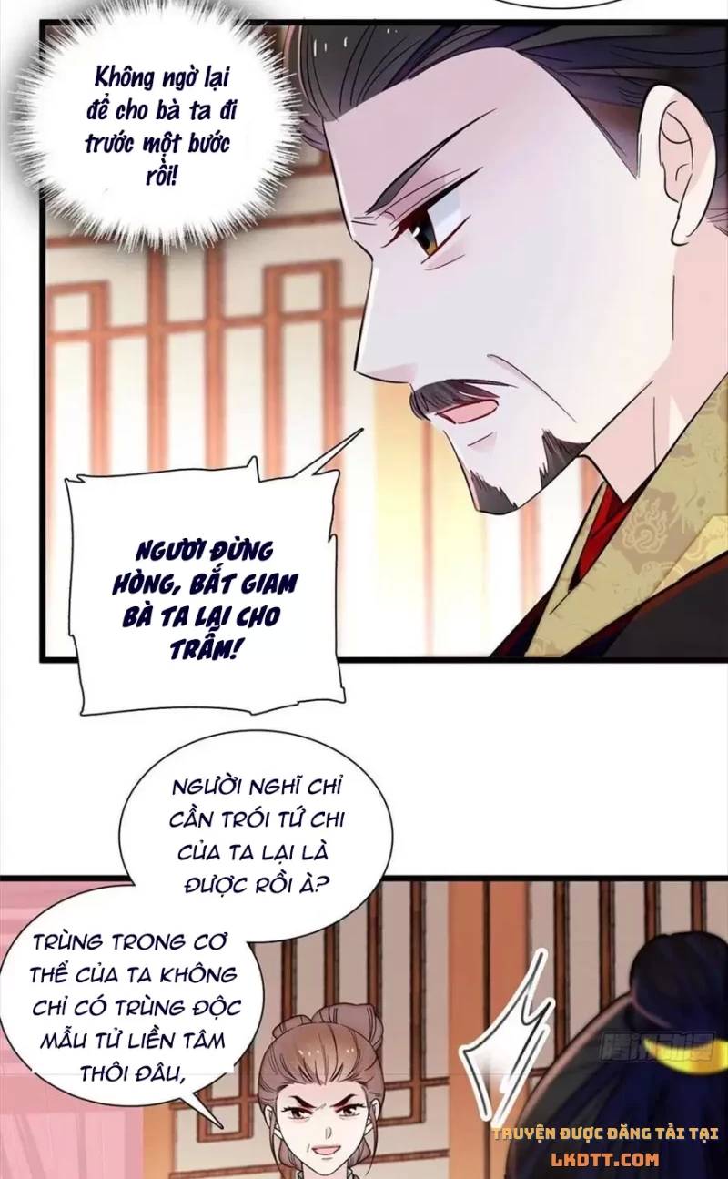 Tự Cẩm Chapter 197 - Trang 2