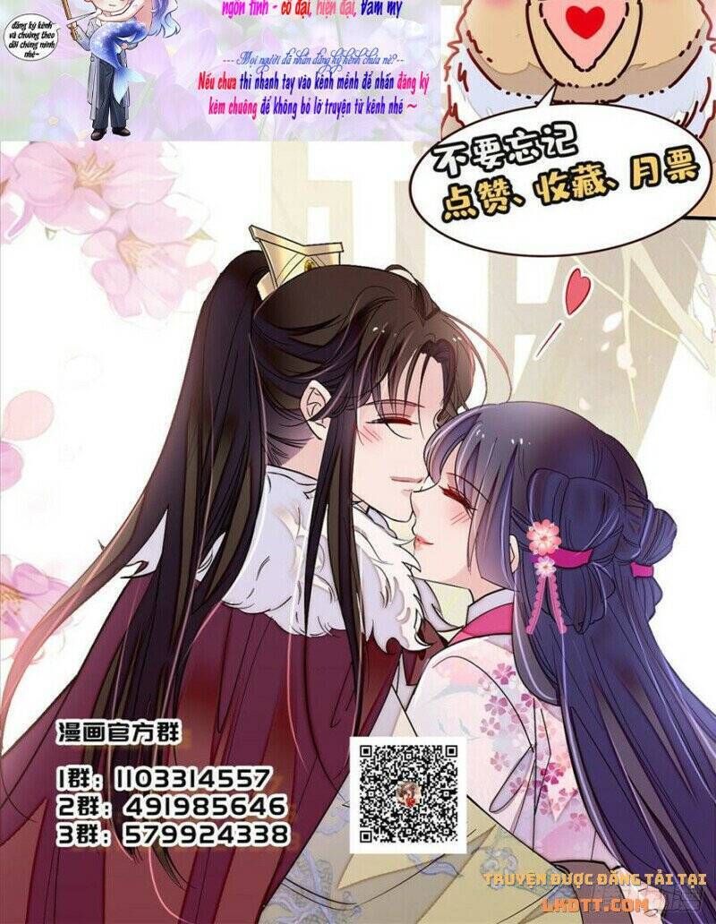 Tự Cẩm Chapter 198 - Trang 2