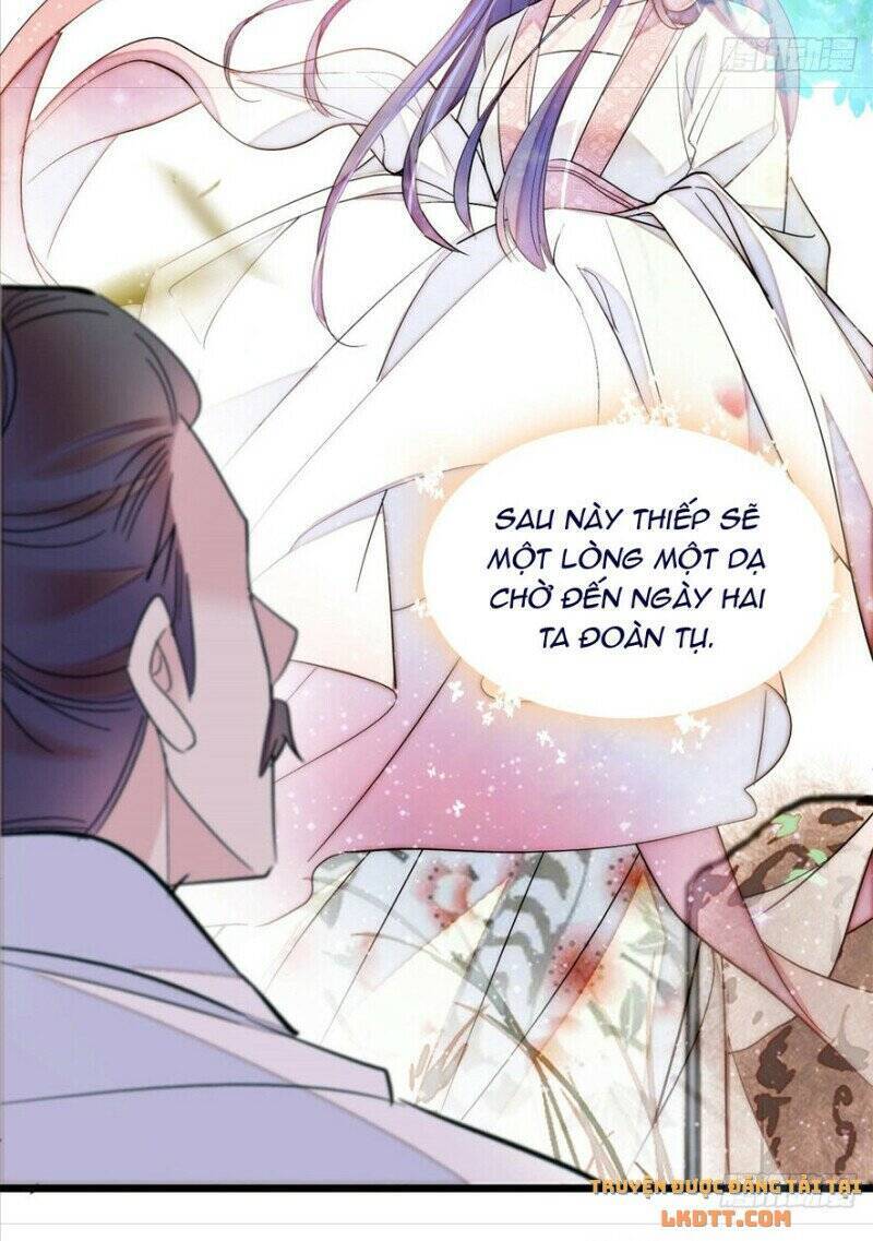 Tự Cẩm Chapter 202 - Trang 2