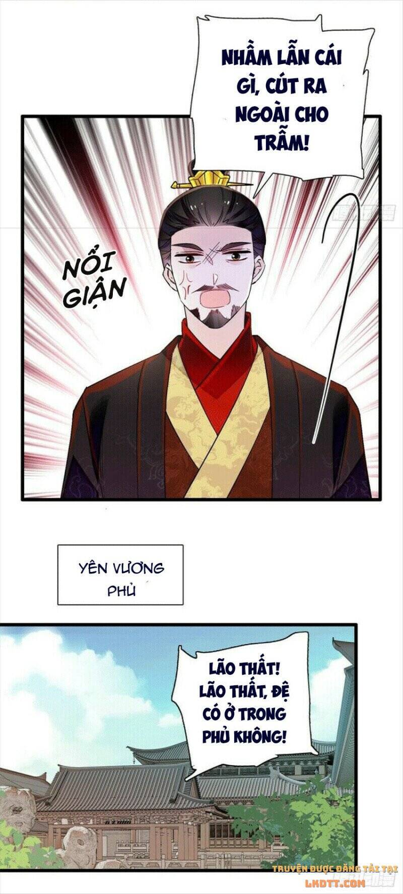 Tự Cẩm Chapter 203 - Trang 2