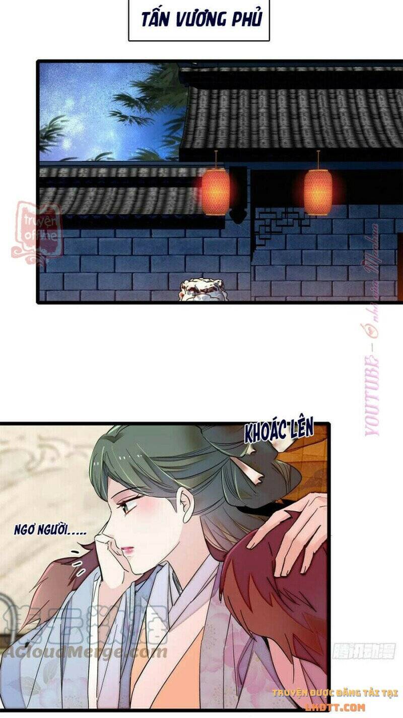 Tự Cẩm Chapter 206 - Trang 2