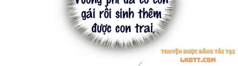 Tự Cẩm Chapter 206 - Trang 2