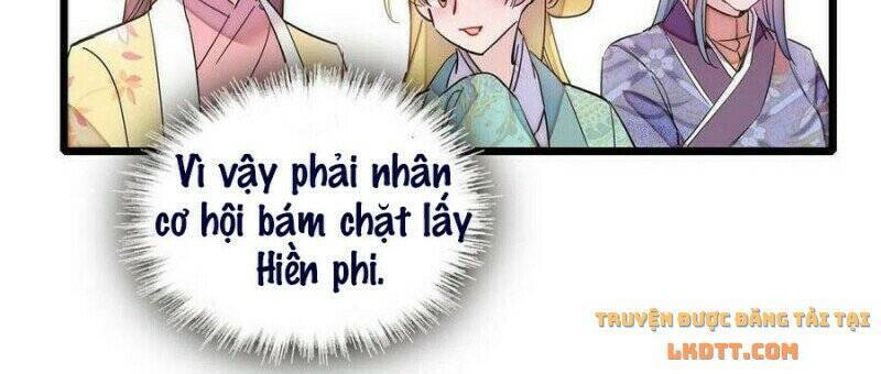 Tự Cẩm Chapter 206 - Trang 2