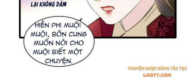 Tự Cẩm Chapter 206 - Trang 2