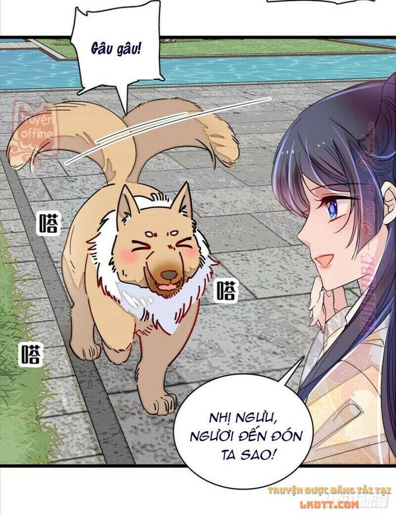 Tự Cẩm Chapter 207 - Trang 2