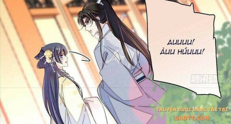 Tự Cẩm Chapter 207 - Trang 2