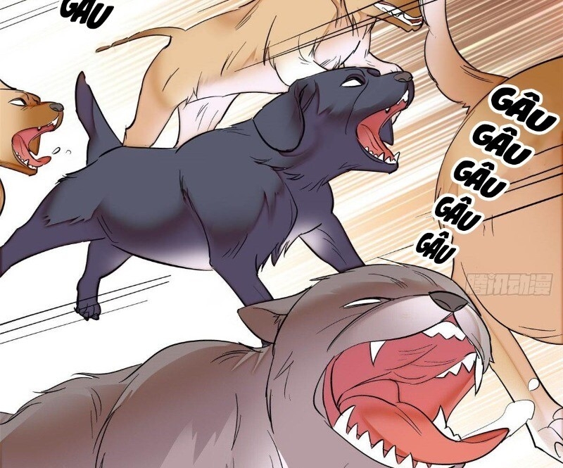 Tự Cẩm Chapter 23 - Trang 2