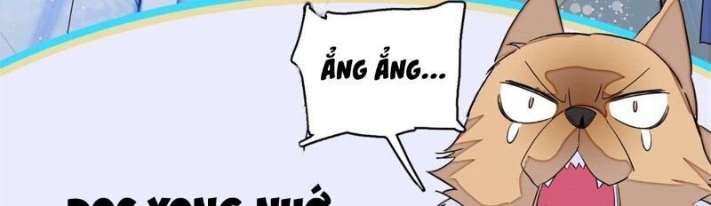 Tự Cẩm Chapter 23 - Trang 2