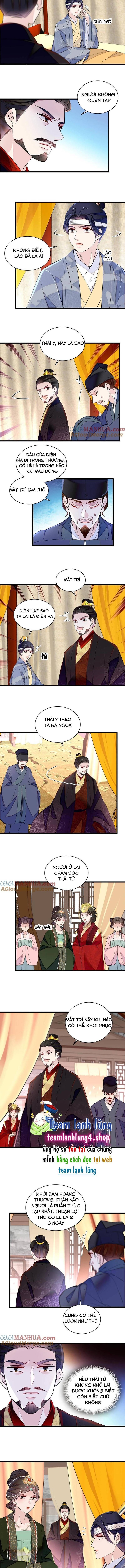 Tự Cẩm Chapter 244 - Trang 2