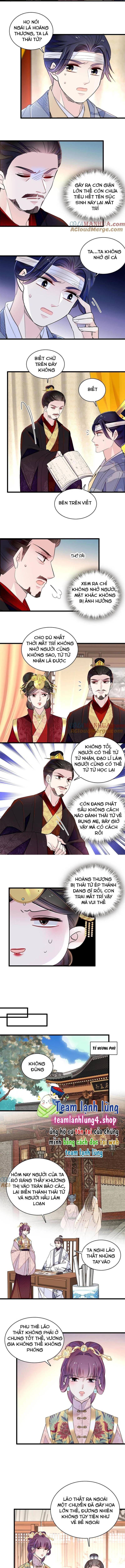 Tự Cẩm Chapter 244 - Trang 2