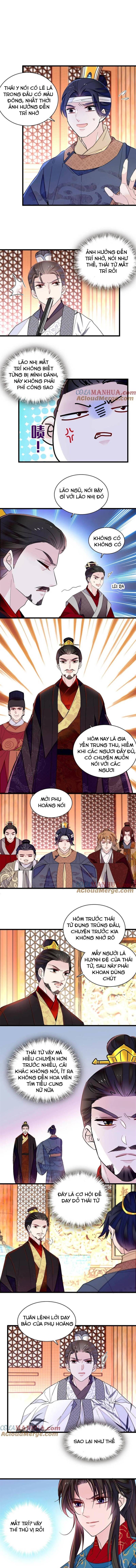Tự Cẩm Chapter 244 - Trang 2