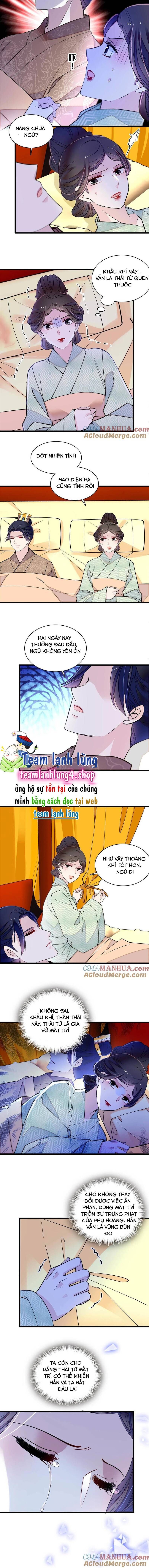 Tự Cẩm Chapter 245 - Trang 2