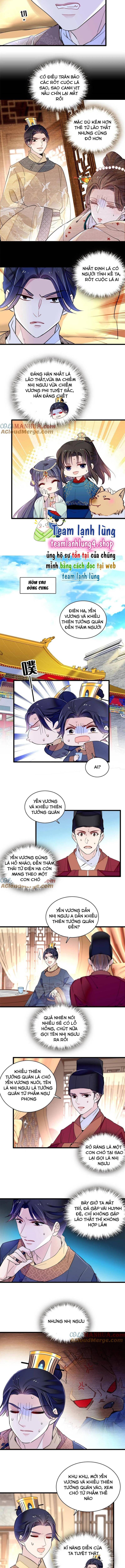 Tự Cẩm Chapter 246 - Trang 2