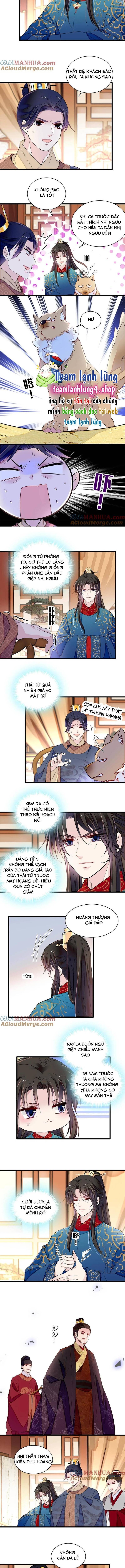 Tự Cẩm Chapter 246 - Trang 2