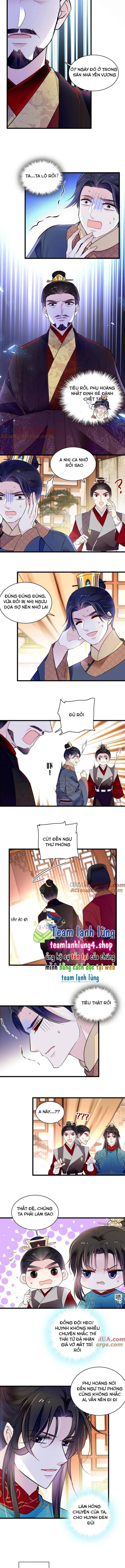 Tự Cẩm Chapter 247 - Trang 2