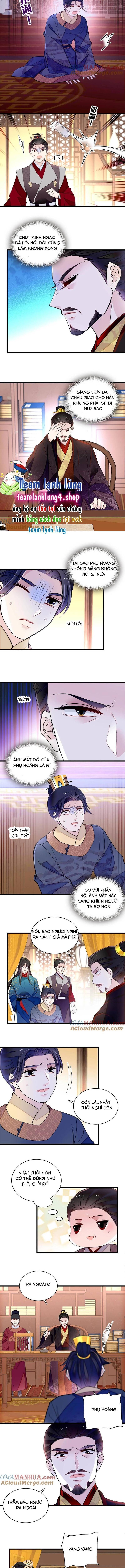 Tự Cẩm Chapter 247 - Trang 2