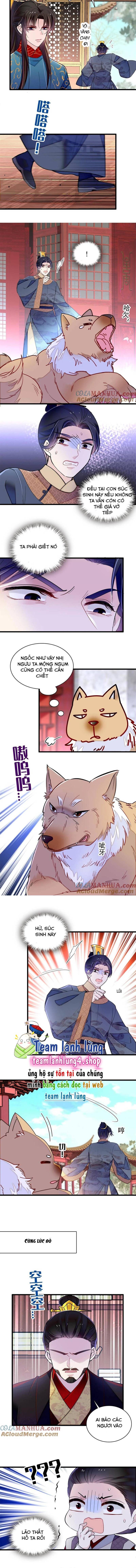 Tự Cẩm Chapter 247 - Trang 2